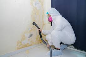 Best Emergency Mold Remediation  in USA